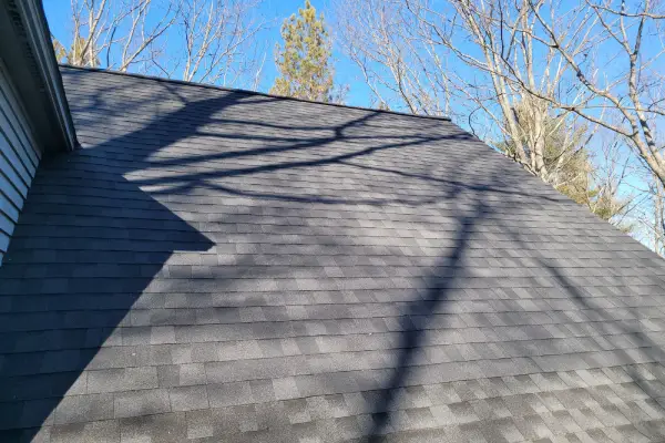 shingle roof